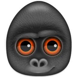 Debookee